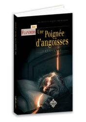 Une poignée d'angoisses