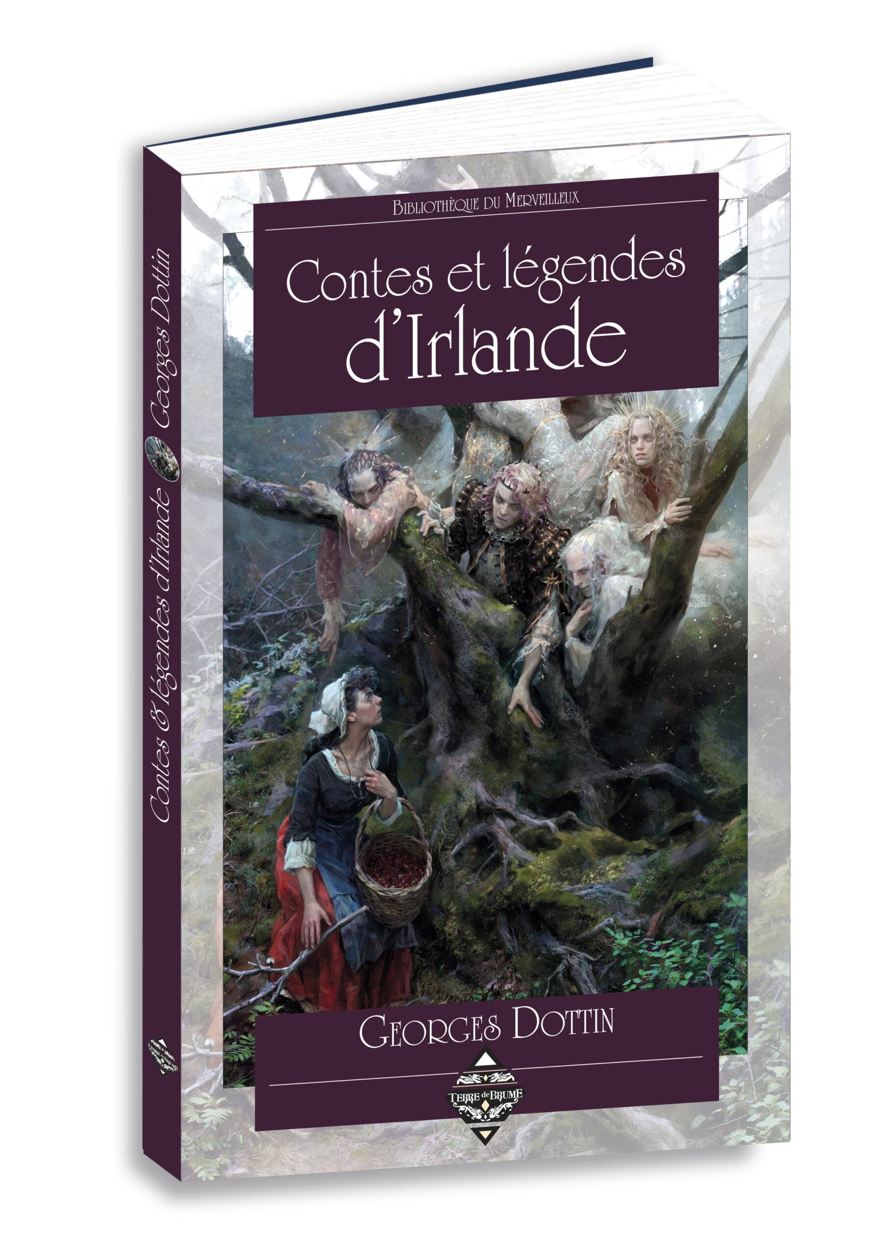 Contes et légendes d'Irlande – Image 2