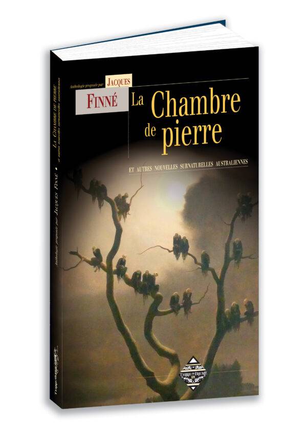 La Chambre de pierre – Image 2