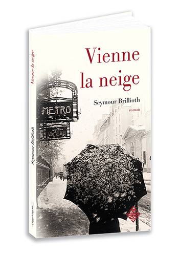 Vienne la neige – Image 2